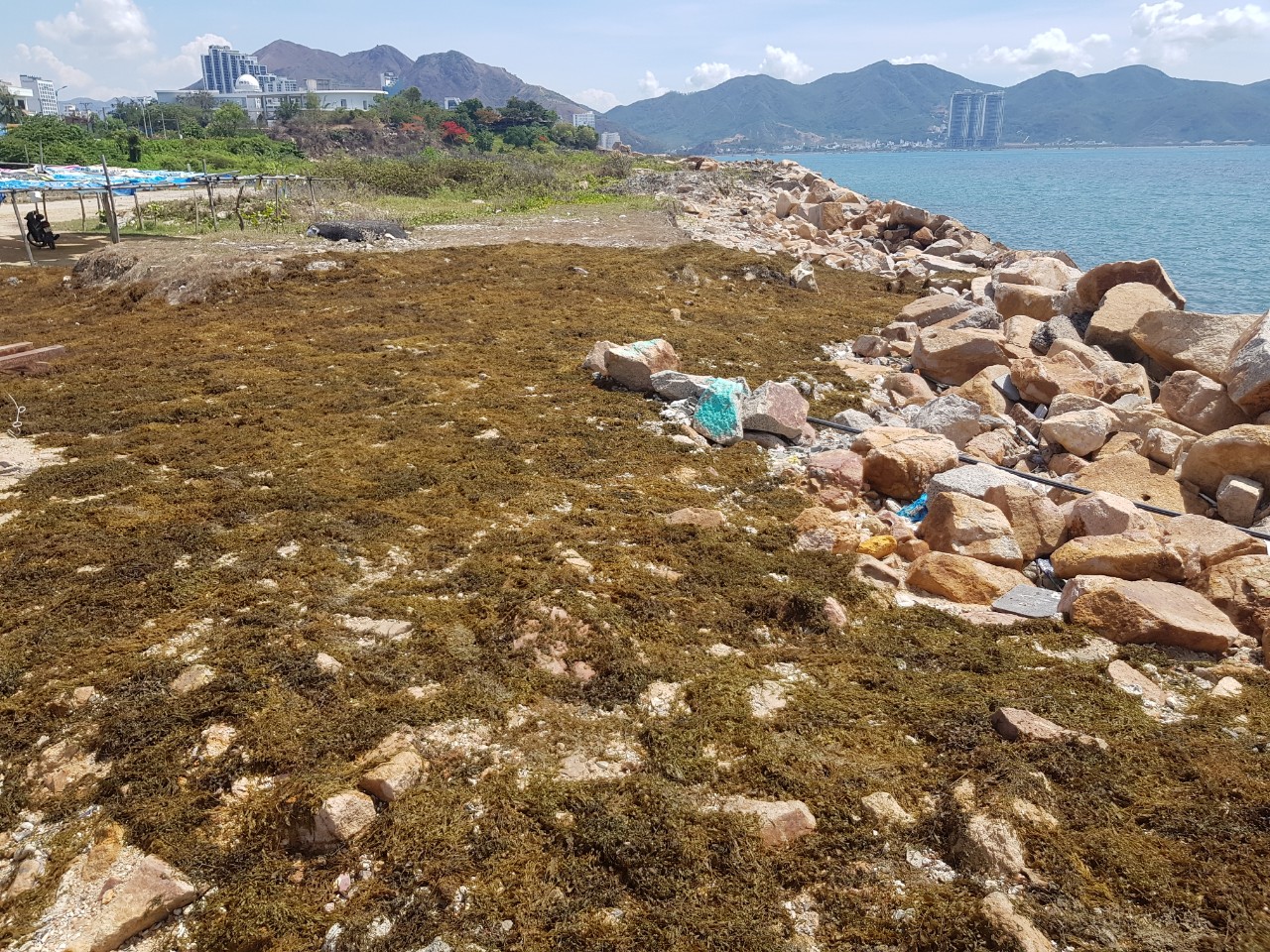 Khánh Hòa lên phương án thu hồi dự án Nha Trang Sao - Ảnh 2. Khánh Hòa lên phương án thu hồi dự án Nha Trang Sao - Ảnh 2.