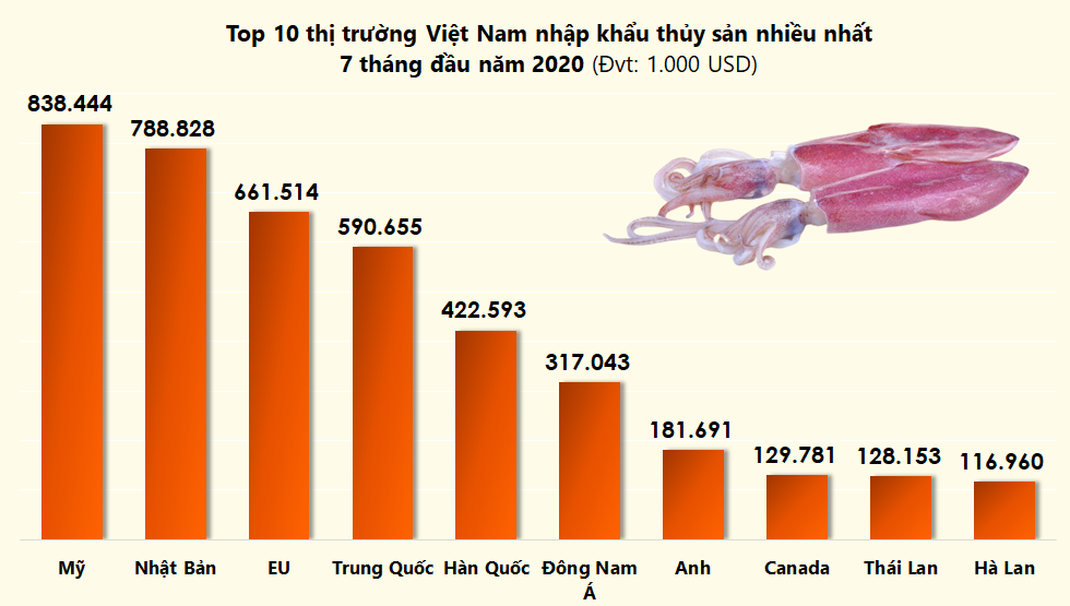 Đồ họa: TV Đồ họa: TV