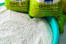 EVFTA: Cam kết thuế quan, hạn ngạch thuế quan của EU đối với gạo và các sản phẩm từ gạo Việt Nam