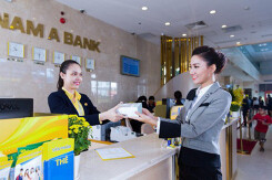 Lãi trước thuế Nam A Bank giảm hơn 59% trong quí II/2020 dù tăng mạnh trích lập dự phòng