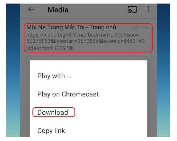 Hướng dẫn cách tải video từ facebook - Ảnh 17. Hướng dẫn cách tải video từ facebook - Ảnh 17.