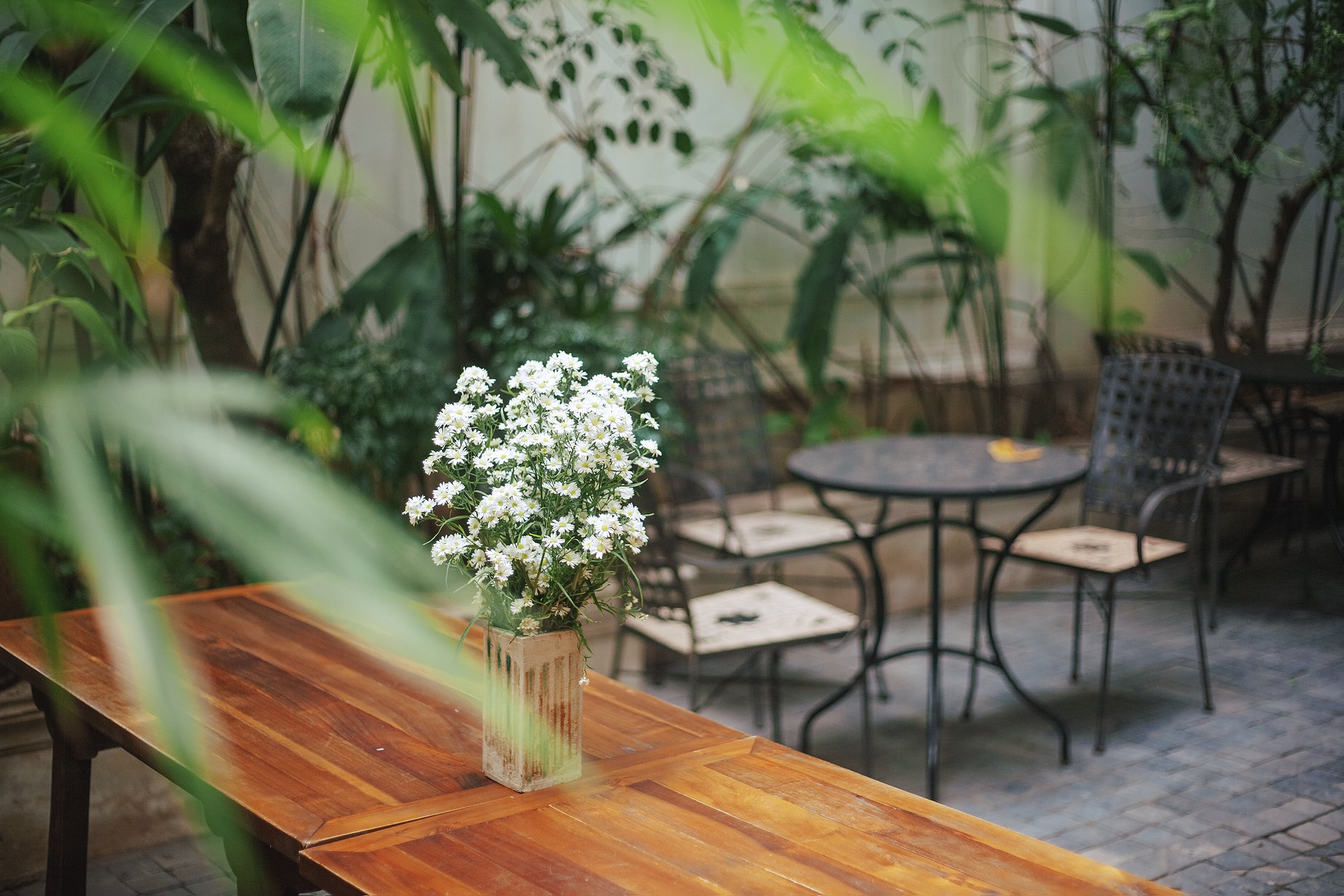 Tận hưởng dịp nghỉ lễ 2/9 với 5 quán cafe view xanh mát, thoáng đãng tại Hà Nội - Ảnh 2. Tận hưởng dịp nghỉ lễ 2/9 với 5 quán cafe view xanh mát, thoáng đãng tại Hà Nội - Ảnh 2.