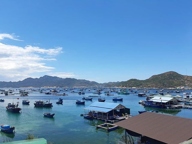 Đảo Bình Ba ở đâu? Trốn phố thị tấp nập, xô bồ về vùng biển đảo hoang sơ - Ảnh 2. Đảo Bình Ba ở đâu? Trốn phố thị tấp nập, xô bồ về vùng biển đảo hoang sơ - Ảnh 2.
