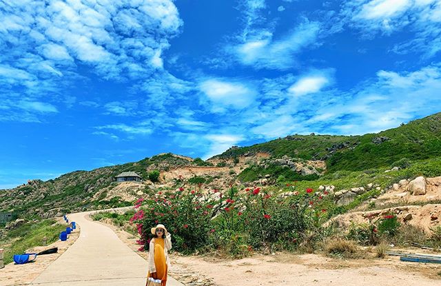 Đảo Bình Ba ở đâu? Trốn phố thị tấp nập, xô bồ về vùng biển đảo hoang sơ - Ảnh 1. Đảo Bình Ba ở đâu? Trốn phố thị tấp nập, xô bồ về vùng biển đảo hoang sơ - Ảnh 1.