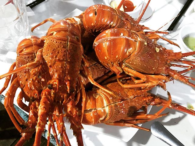 Đảo Bình Ba ở đâu? Trốn phố thị tấp nập, xô bồ về vùng biển đảo hoang sơ - Ảnh 12. Đảo Bình Ba ở đâu? Trốn phố thị tấp nập, xô bồ về vùng biển đảo hoang sơ - Ảnh 12.
