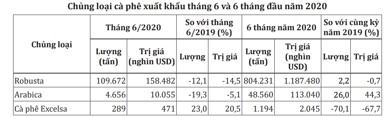 Xuất khẩu cà phê tháng 7 giảm hơn 15% - Ảnh 1.