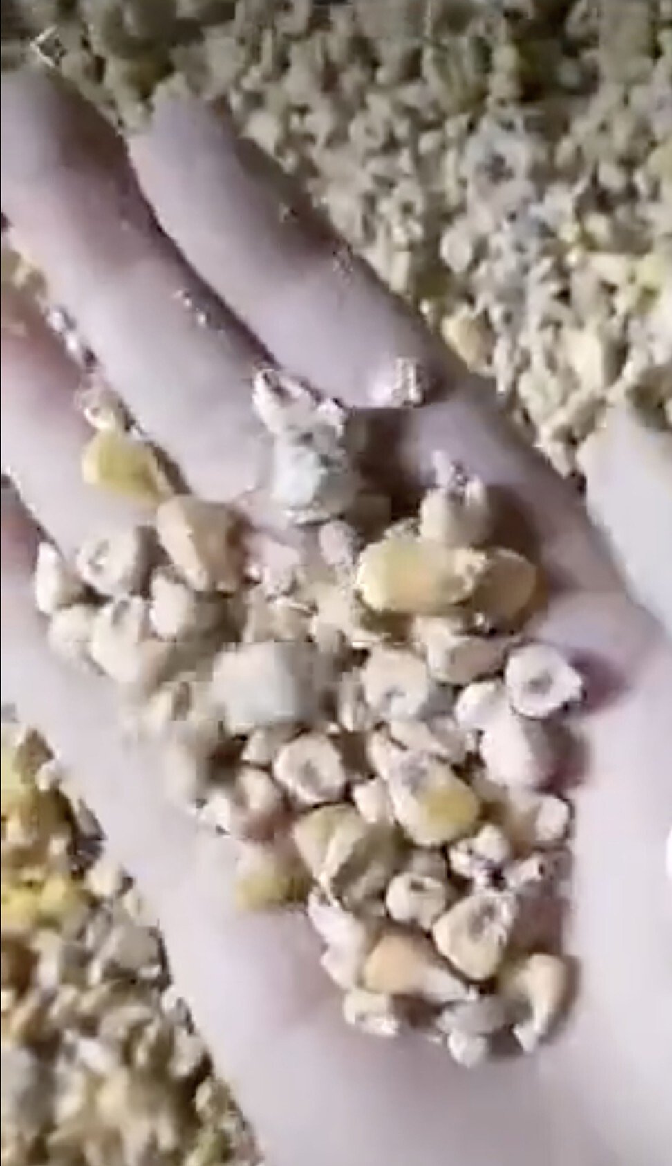 Dân Trung Quốc hoang mang vì video ngô trong kho dự trữ quốc gia bị mốc - Ảnh 2.