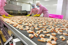 VASEP: Xuất khẩu tôm sang Mỹ có thể tăng 20% trong năm nay