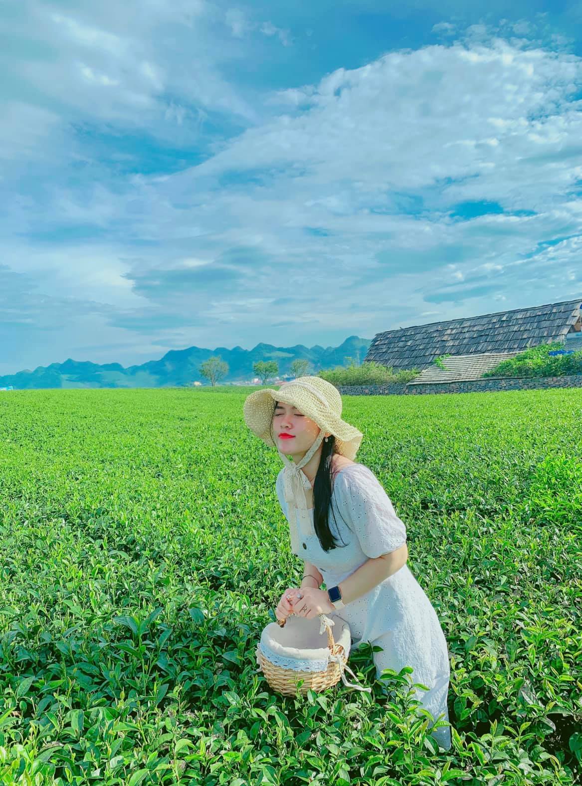 Từ Hà Nội đi Mộc Châu bao nhiêu km? Vi vu cảnh đẹp cuốn hút nơi cao nguyên xanh mát đồi chè - Ảnh 10.
