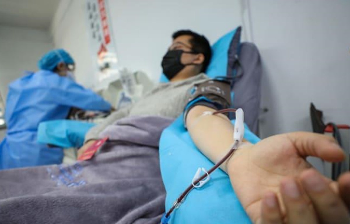Bác sĩ Kong Yuefeng, một bệnh nhân Covid-19 đã hồi phục, hiến huyết tương ở Vũ Hán, tỉnh Hồ Bắc, ngày 18/2. (Ảnh: Getty Images). Bác sĩ Kong Yuefeng, một bệnh nhân Covid-19 đã hồi phục, hiến huyết tương ở Vũ Hán, tỉnh Hồ Bắc, ngày 18/2. (Ảnh: Getty Images).