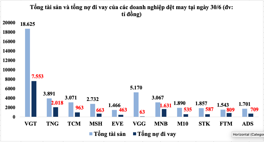Ngành dệt may lao đao vì COVID-19, điểm sáng nào cho nửa cuối năm? - Ảnh 5.