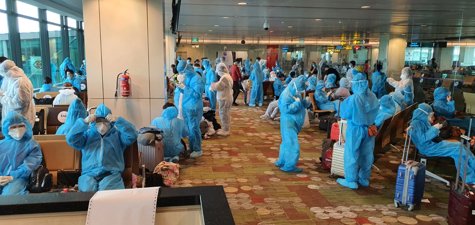 Vietjet thực hiện trung bình một chuyến bay/ngày đưa đồng bào hồi hương - Ảnh 2. Vietjet thực hiện trung bình một chuyến bay/ngày đưa đồng bào hồi hương - Ảnh 2.