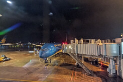 Vietnam Airlines khai thác đường bay thẳng đến Texas đón gần 350 công dân về nước