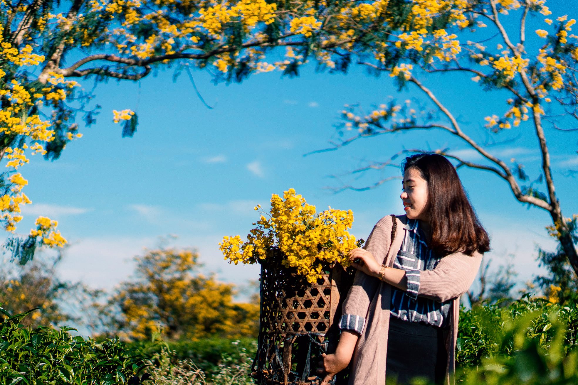 Chiêm ngưỡng núi Hàm Rồng Gia Lai - 'Nóc nhà' của thành phố Pleiku - Ảnh 10. Chiêm ngưỡng núi Hàm Rồng Gia Lai - 'Nóc nhà' của thành phố Pleiku - Ảnh 10.