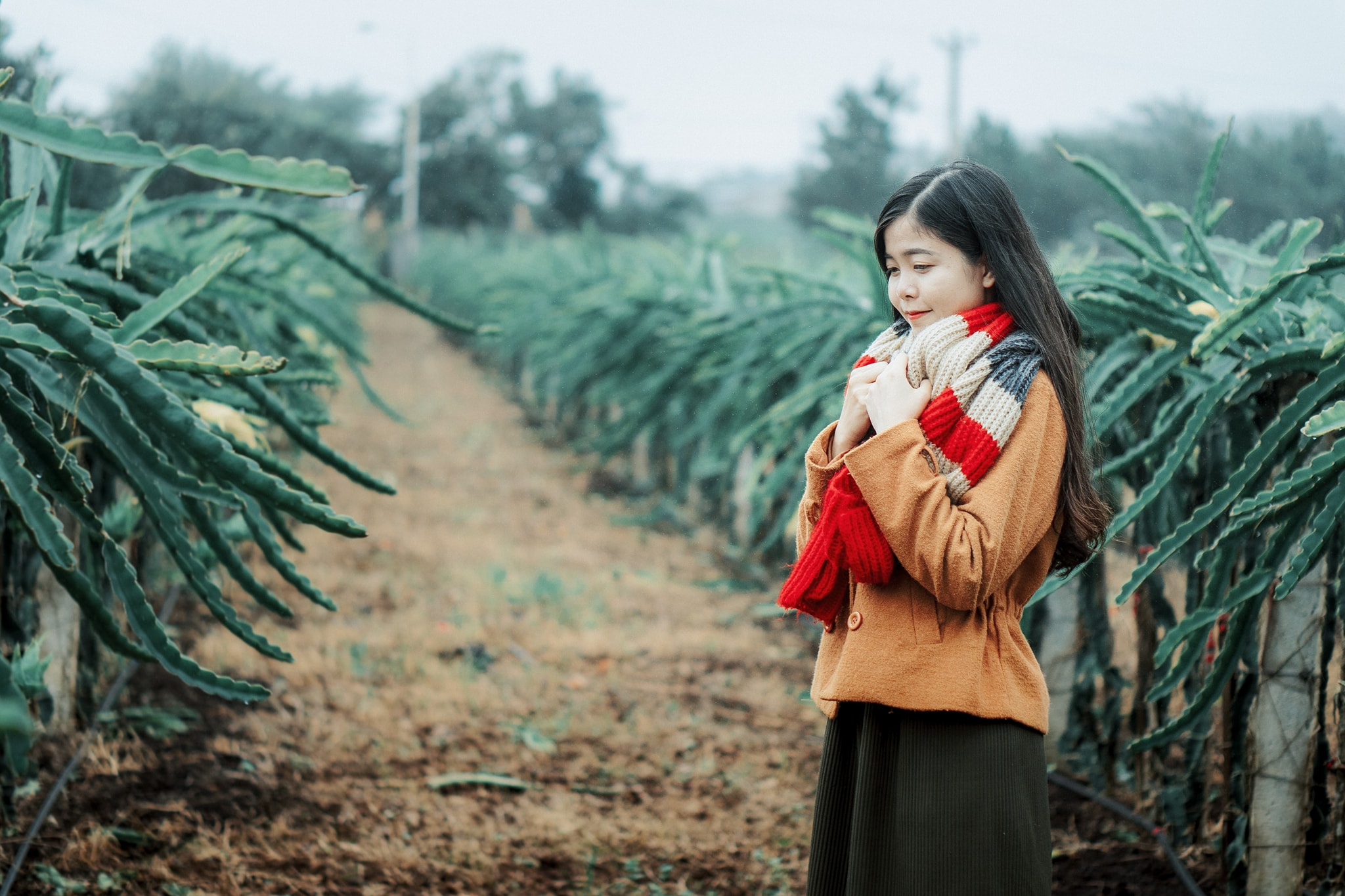 Chiêm ngưỡng núi Hàm Rồng Gia Lai - 'Nóc nhà' của thành phố Pleiku - Ảnh 2. Chiêm ngưỡng núi Hàm Rồng Gia Lai - 'Nóc nhà' của thành phố Pleiku - Ảnh 2.