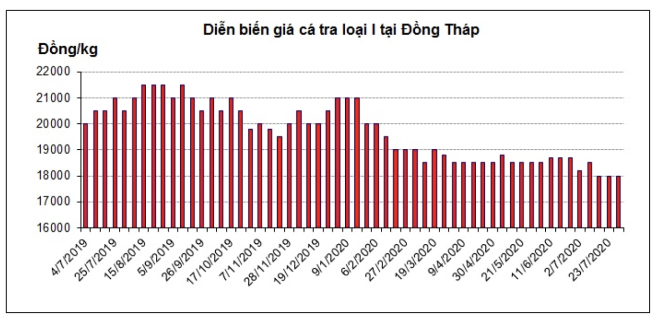 Xuất khẩu cá tra sẽ vực dậy trở lại sau dịch COVID-19? - Ảnh 1.