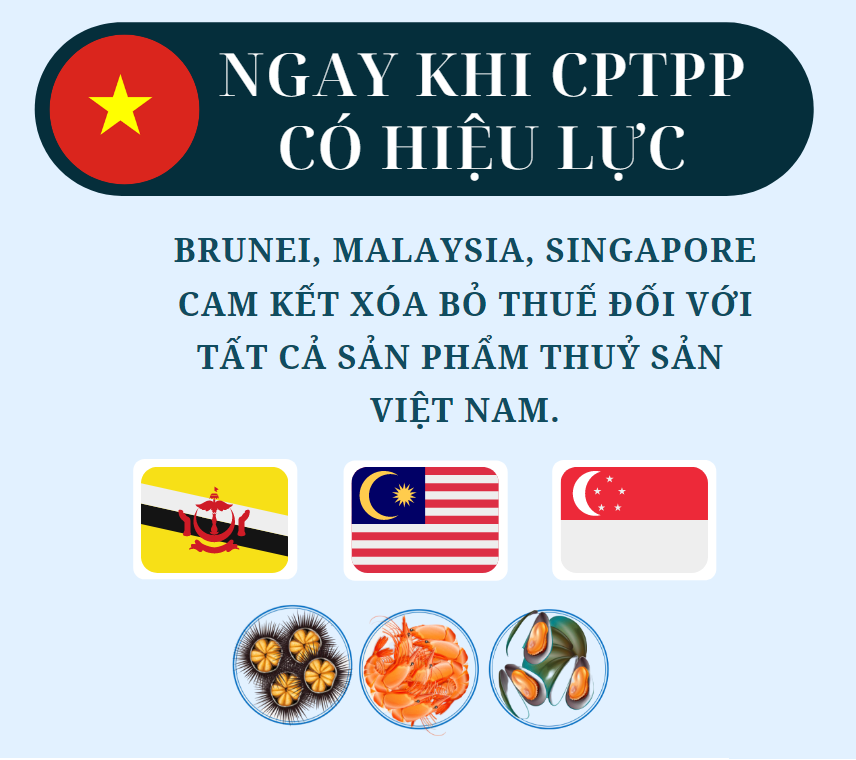 Đồ họa: TV CPTPP: Cam kết thuế quan của Brunei, Malaysia, Singapore đối với thủy sản Việt Nam - Ảnh 1.