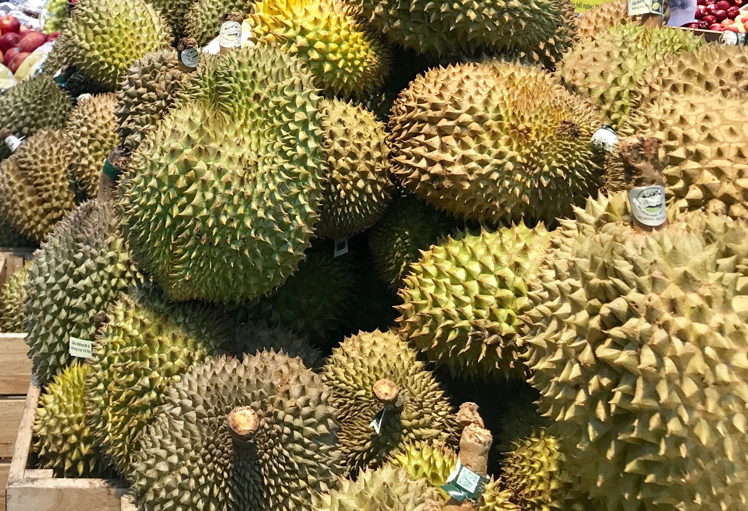 Nhập khẩu sầu riêng của Trung Quốc tăng hơn 73% trong nửa đầu năm - Ảnh 1. Nhập khẩu sầu riêng của Trung Quốc tăng hơn 73% trong nửa đầu năm - Ảnh 1.