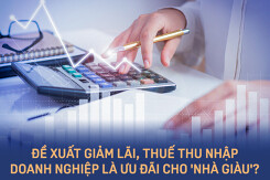 Giảm lãi, thuế thu nhập doanh nghiệp là ưu đãi cho 'nhà giàu'?