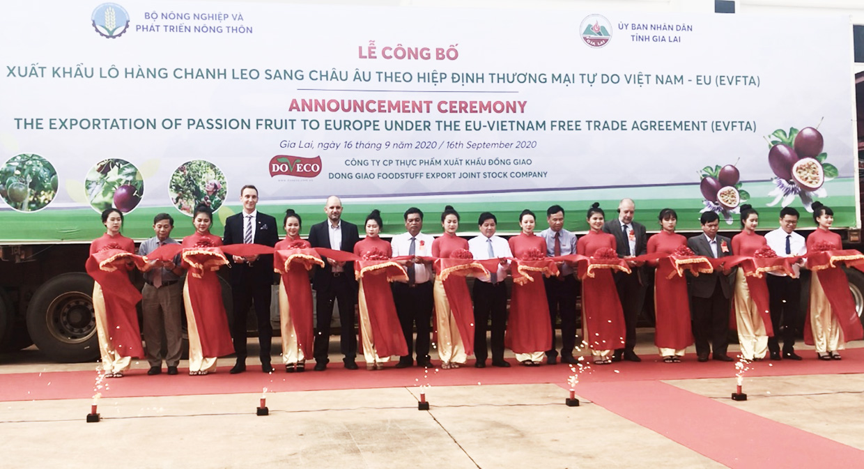 100 tấn chanh dây đầu tiên xuất sang châu Âu theo hiệp định EVFTA - Ảnh 1. 100 tấn chanh dây đầu tiên xuất sang châu Âu theo hiệp định EVFTA - Ảnh 1.