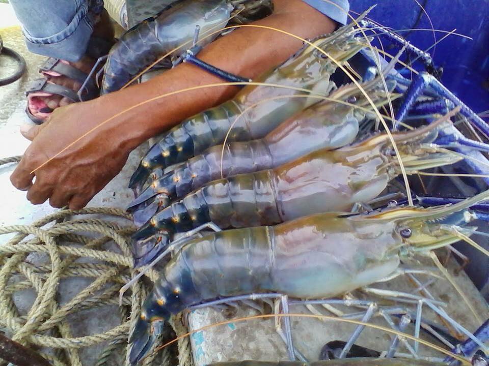 Chiến thuật tập trung vào một sản phẩm, chịu lỗ để tạo trào lưu của công ty bán món ngon - Ảnh 3.
