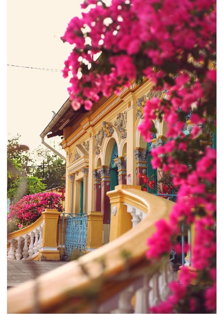 Vẻ đẹp nhà cổ Bình Thủy, địa điểm tham quan trăm tuổi tại Cần Thơ - Ảnh 6. Vẻ đẹp nhà cổ Bình Thủy, địa điểm tham quan trăm tuổi tại Cần Thơ - Ảnh 6.