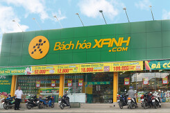 Bách Hoá Xanh đạt kỉ lục doanh thu tháng, giúp lợi nhuận MWG tăng 14% trong tháng 8