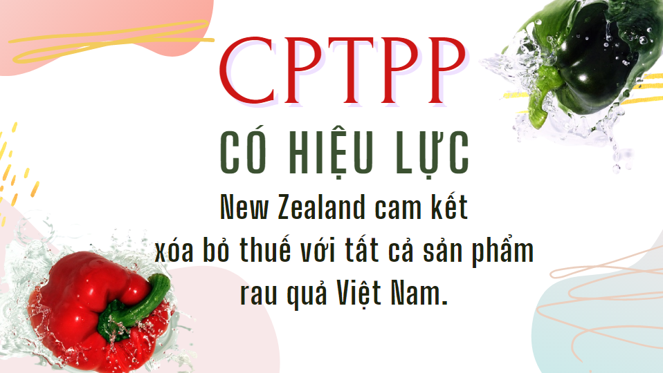 CPTPP: Cam kết thuế quan của New Zealand đối với rau quả Việt Nam - Ảnh 1. CPTPP: Cam kết thuế quan của New Zealand đối với rau quả Việt Nam - Ảnh 1.