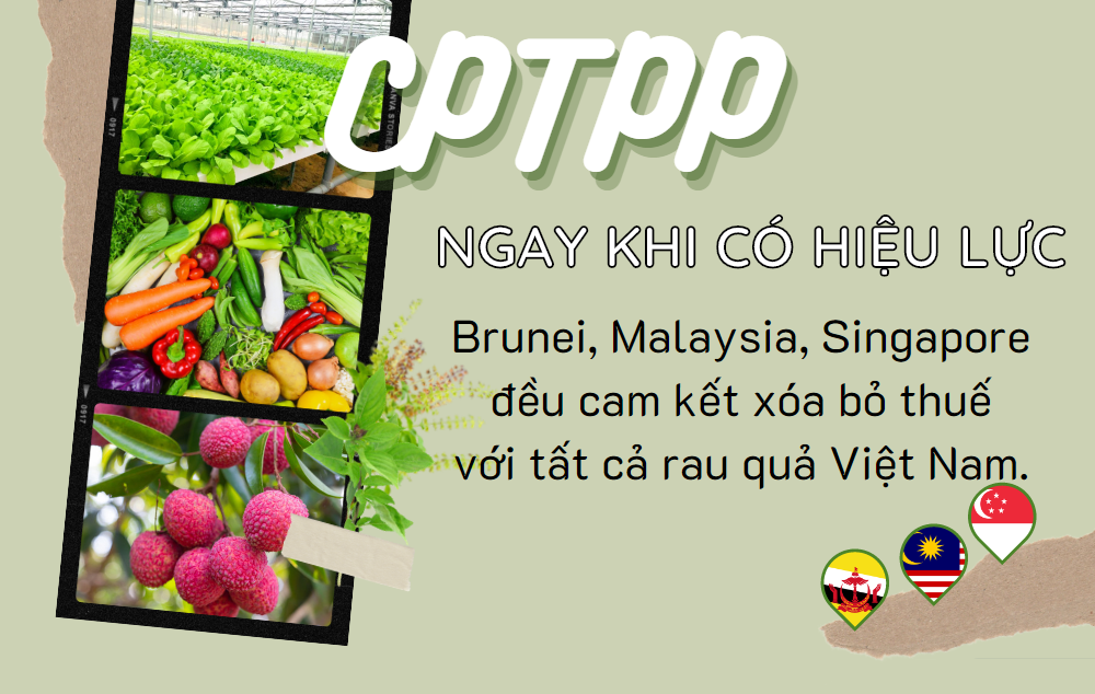 Đồ họa: TV Đồ họa: TV
