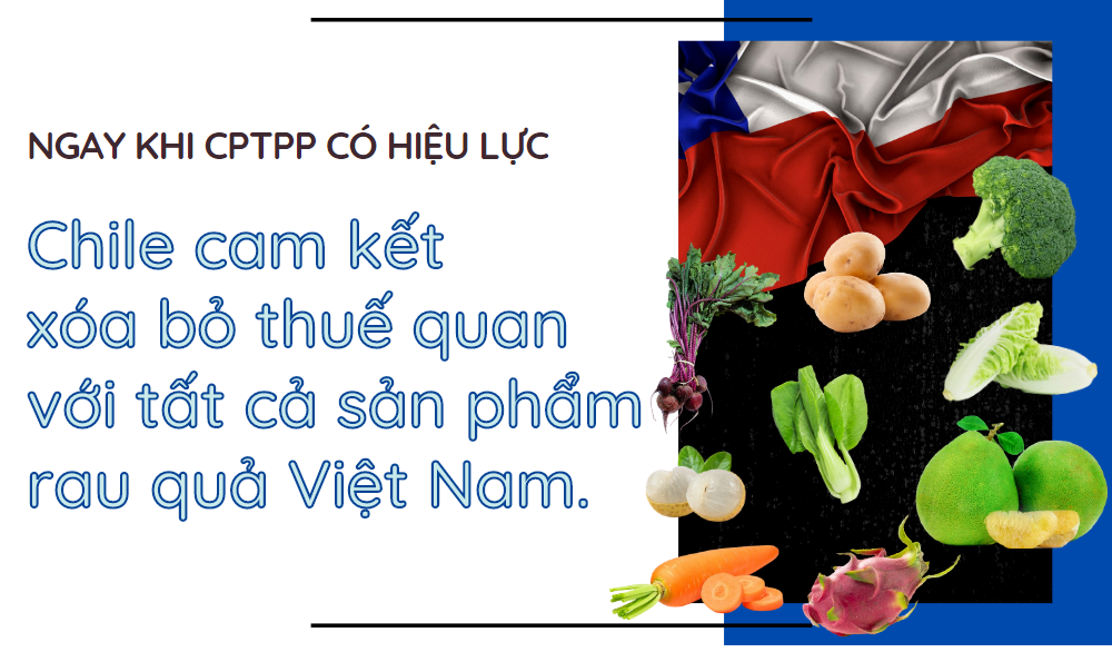 CPTPP: Cam kết thuế quan của Chile đối với rau quả Việt Nam - Ảnh 1. CPTPP: Cam kết thuế quan của Chile đối với rau quả Việt Nam - Ảnh 1.