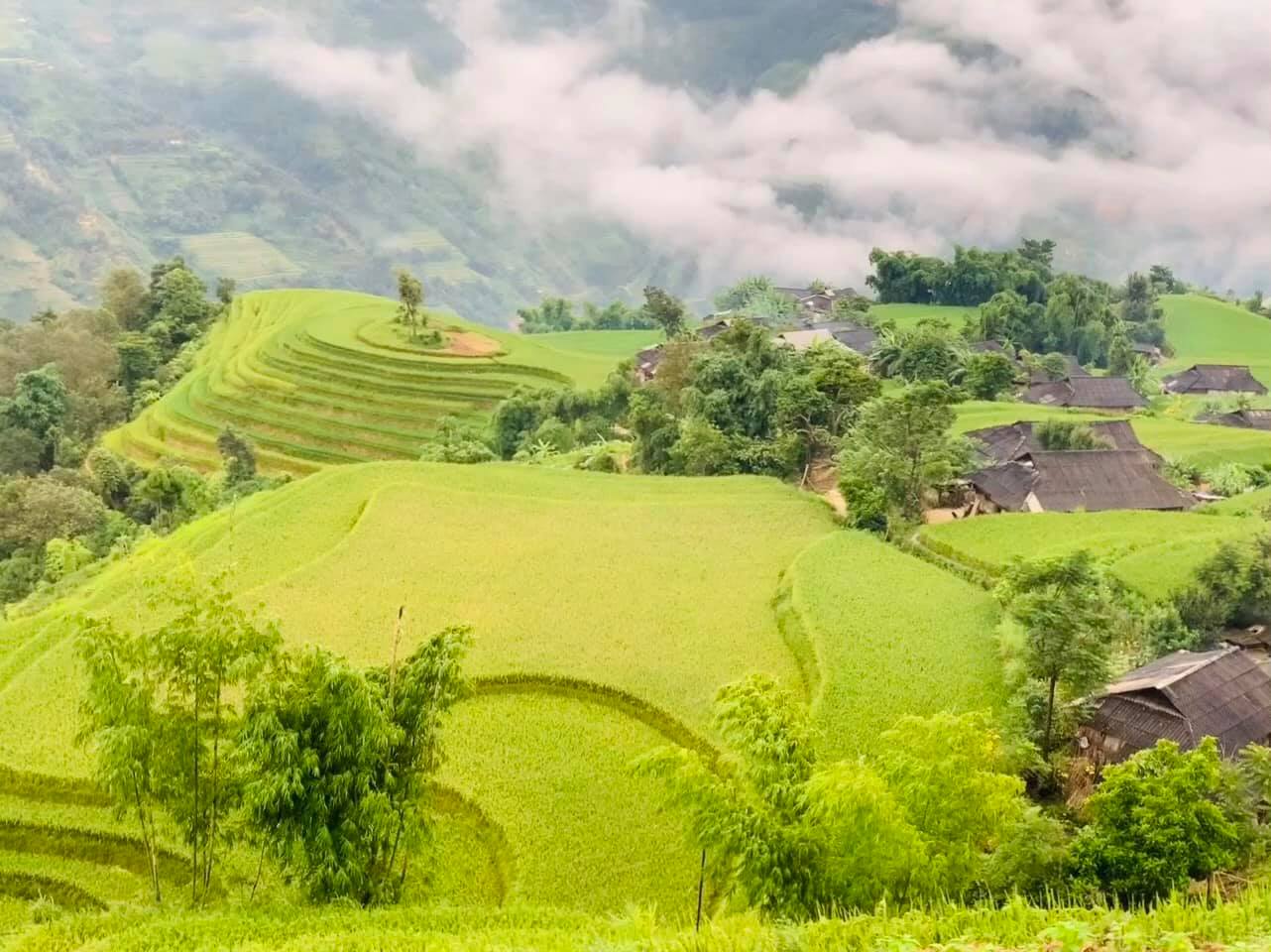 Đường lên Bản Phùng, Hoàng Su Phì mùa lúa chín  - Ảnh 8.