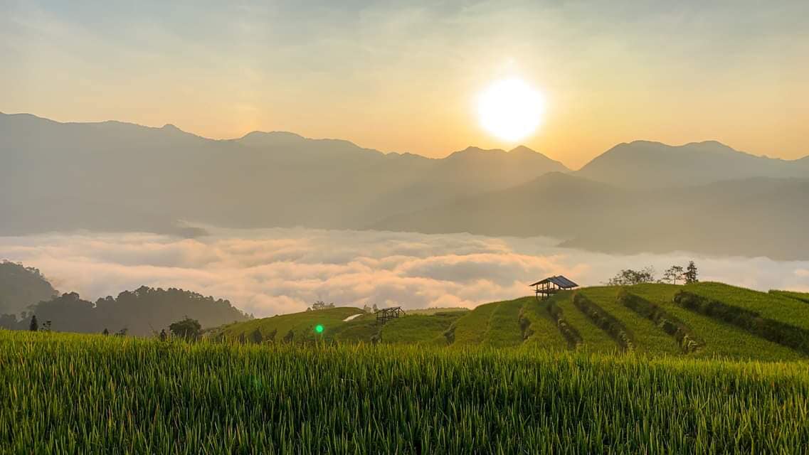 Đường lên Bản Phùng, Hoàng Su Phì mùa lúa chín  - Ảnh 6.