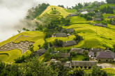 Đường lên Bản Phùng, Hoàng Su Phì mùa lúa chín
