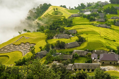 Đường lên Bản Phùng, Hoàng Su Phì mùa lúa chín