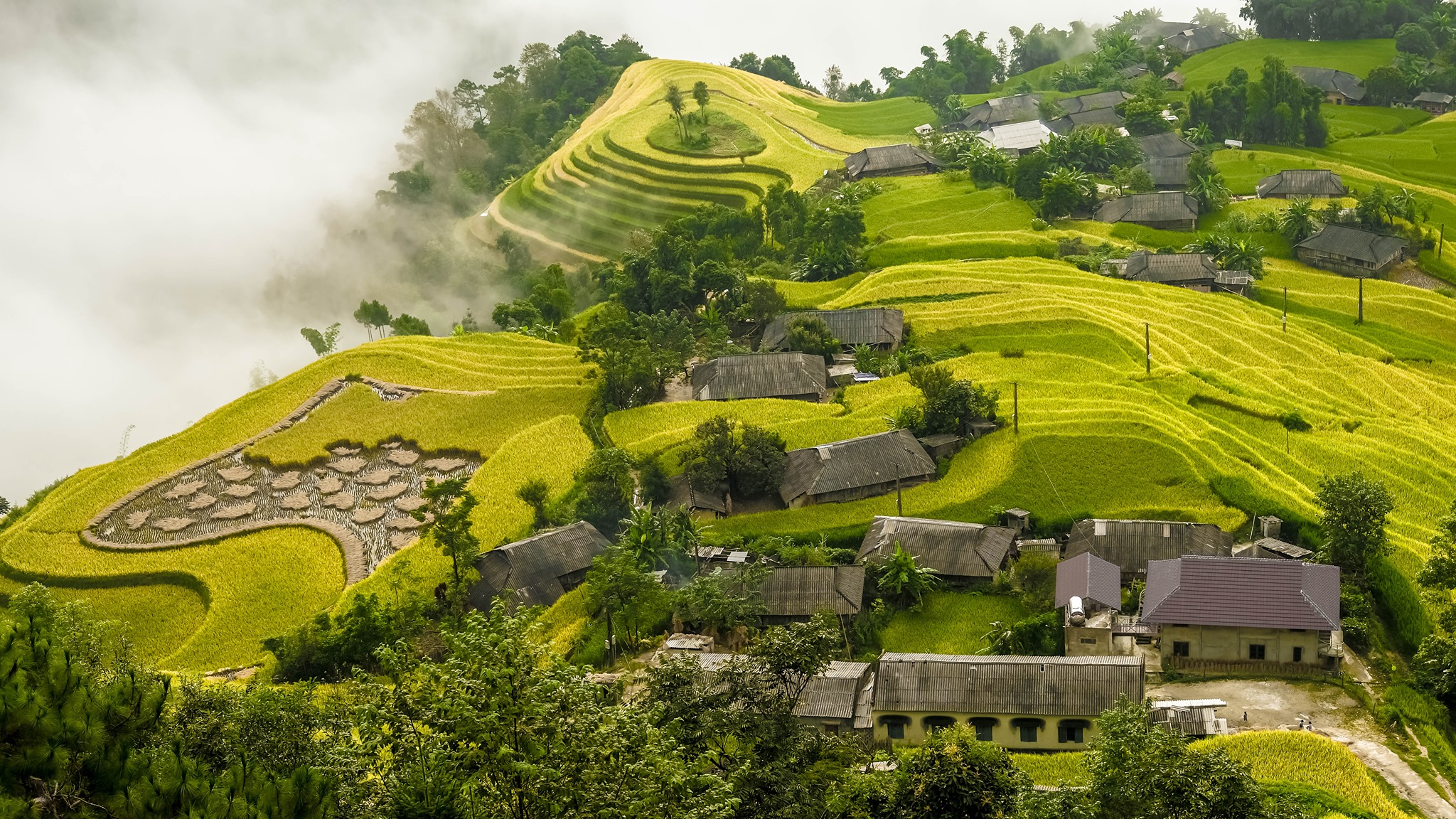 Đường lên Bản Phùng, Hoàng Su Phì mùa lúa chín  - Ảnh 2.