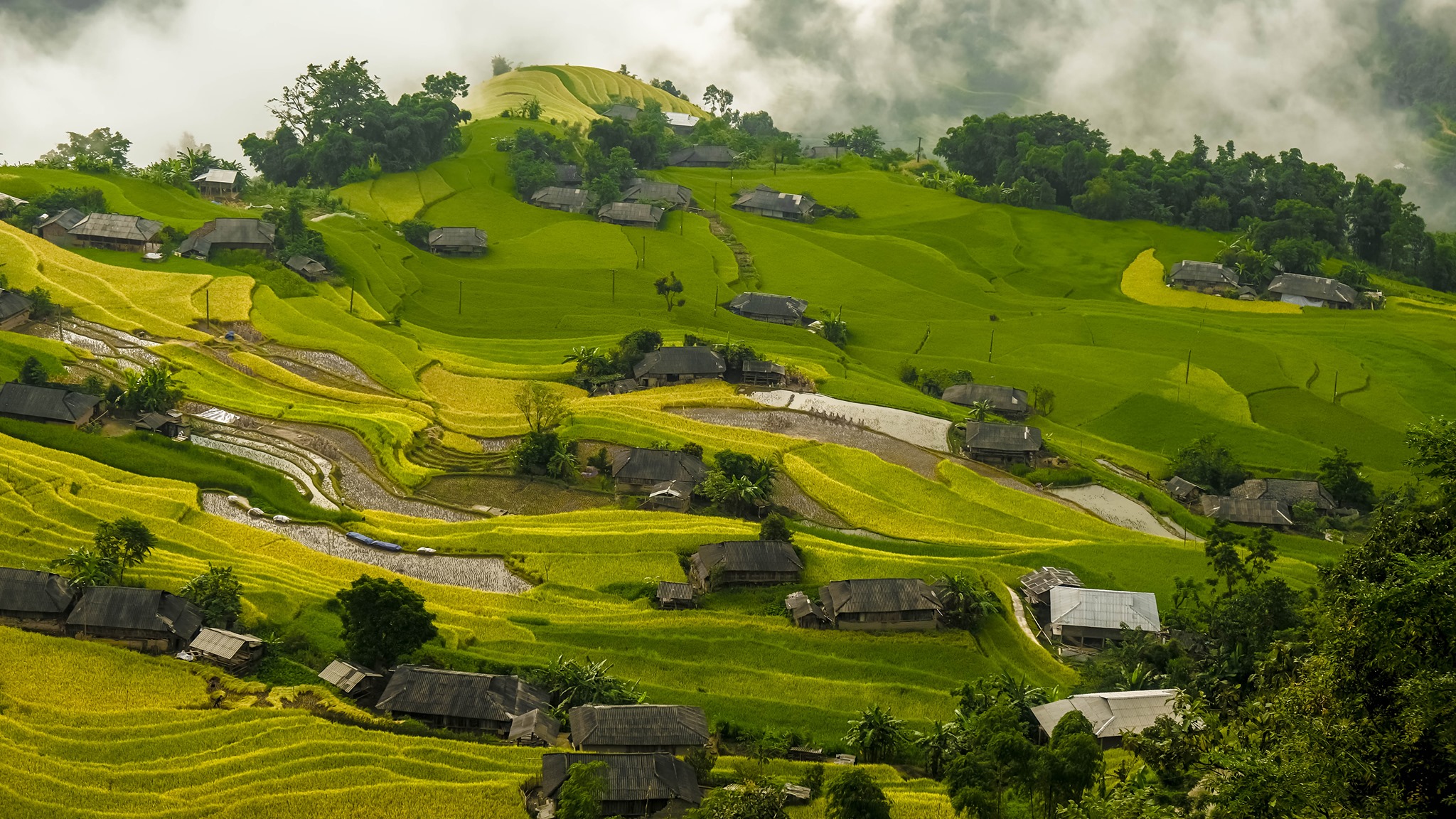 Đường lên Bản Phùng, Hoàng Su Phì mùa lúa chín  - Ảnh 3.