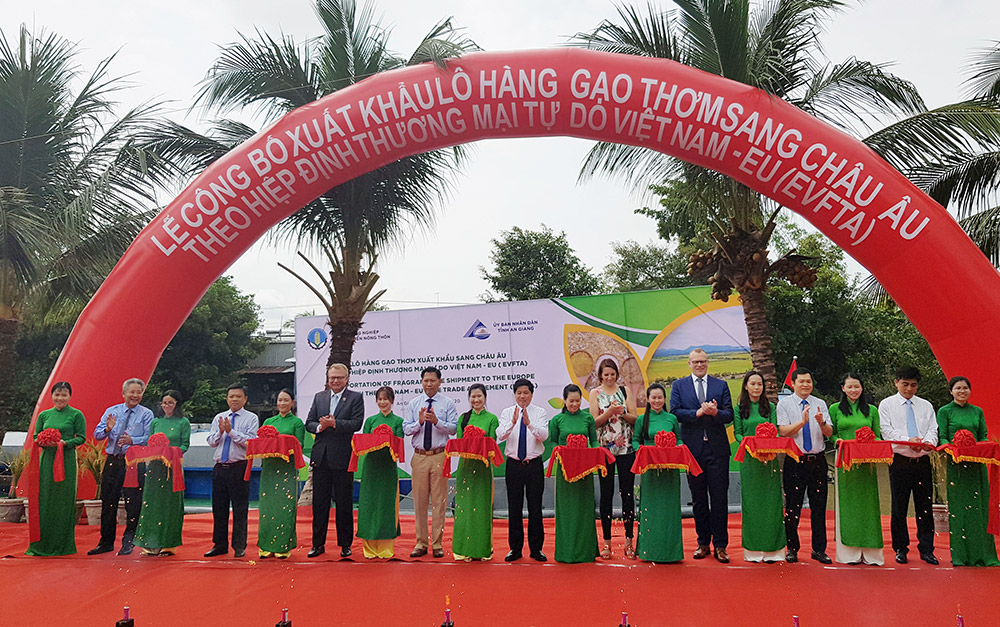 126 tấn gạo thơm đầu tiên của Lộc Trời Group xuất sang EU theo EVFTA - Ảnh 1. 126 tấn gạo thơm đầu tiên của Lộc Trời Group xuất sang EU theo EVFTA - Ảnh 1.