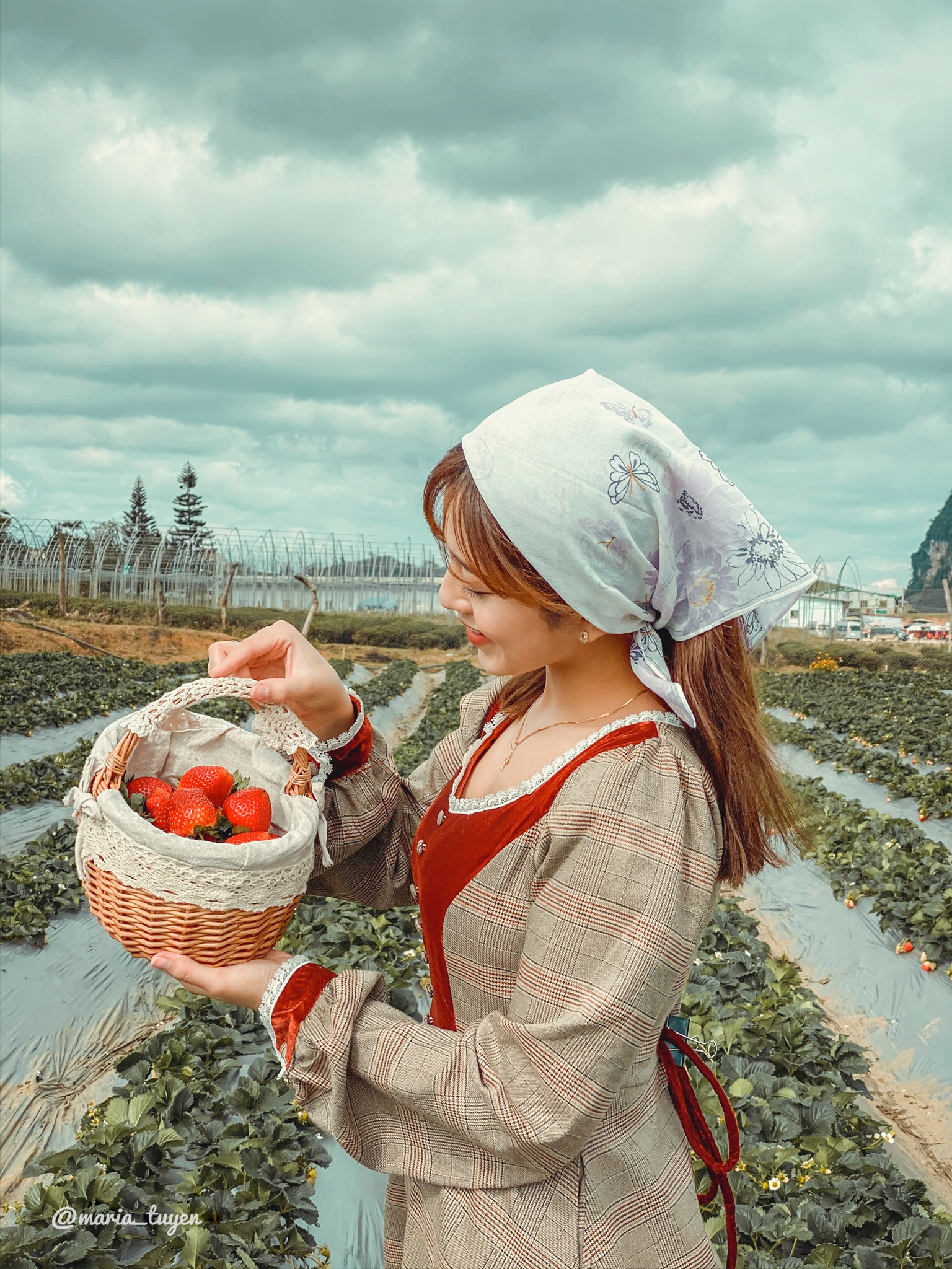 3 ngày 2 đêm theo chân nữ travel blogger khám phá khắp nẻo đường Mộc Châu - Ảnh 9.