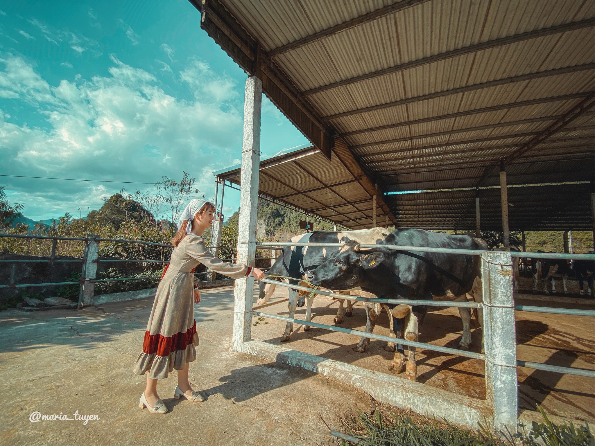 3 ngày 2 đêm theo chân nữ travel blogger khám phá khắp nẻo đường Mộc Châu - Ảnh 13.