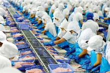 Doanh thu cá tra của Vĩnh Hoàn giảm 9% trong tháng 8