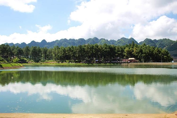 Lạc bước vào rừng thông Bản Áng Mộc Châu ngắm vẻ đẹp mộng mơ của Tây Bắc - Ảnh 1. Lạc bước vào rừng thông Bản Áng Mộc Châu ngắm vẻ đẹp mộng mơ của Tây Bắc - Ảnh 1.