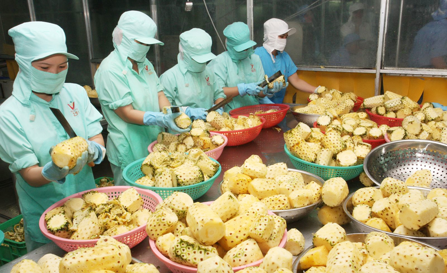 Xuất nhập khẩu Việt Nam và Anh tháng 8/2020: Xuất khẩu hàng rau quả tăng 117% - Ảnh 1.