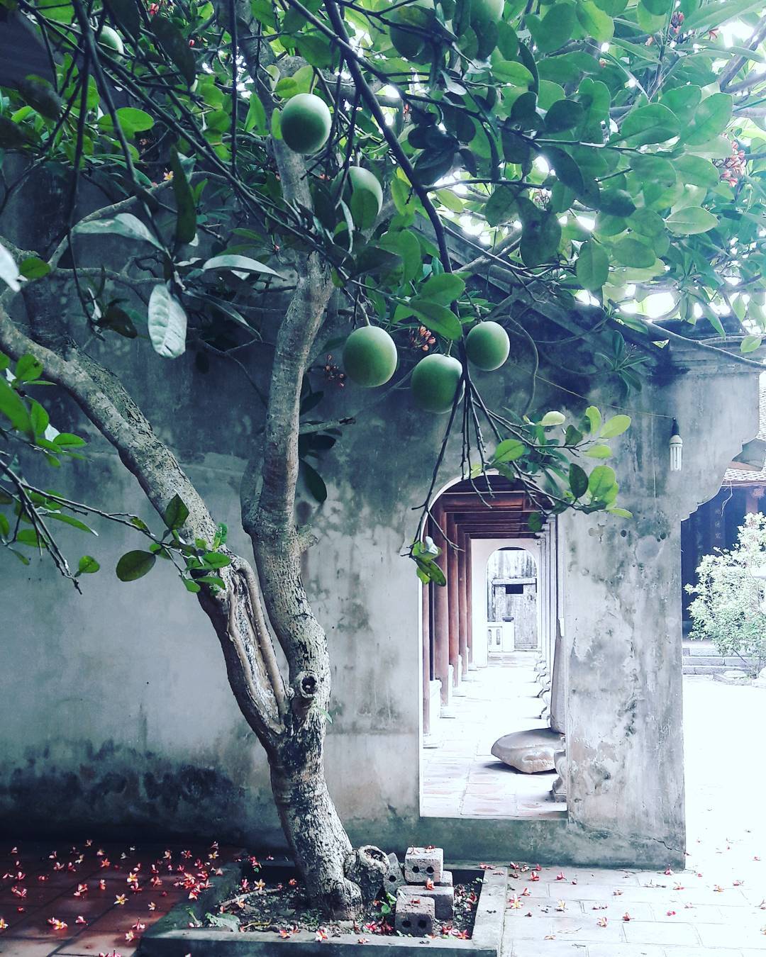 Khám phá nét đẹp cổ kính đầy cuốn hút tại ngôi chùa Bà Đanh, tỉnh Hà Nam - Ảnh 8. Khám phá nét đẹp cổ kính đầy cuốn hút tại ngôi chùa Bà Đanh, tỉnh Hà Nam - Ảnh 8.