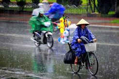 Thời tiết TP HCM hôm nay 6/9: Nắng nhẹ, chiều mưa dông, Cần Thơ có mưa to