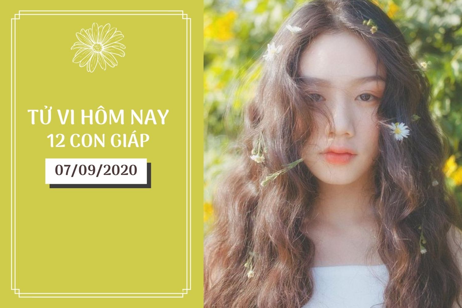 Tử vi hàng ngày hôm nay 7/9 của 12 con giáp: Mão cẩn thận có kẻ chơi xấu, Tỵ đường tình duyên thuận lợi  - Ảnh 1.