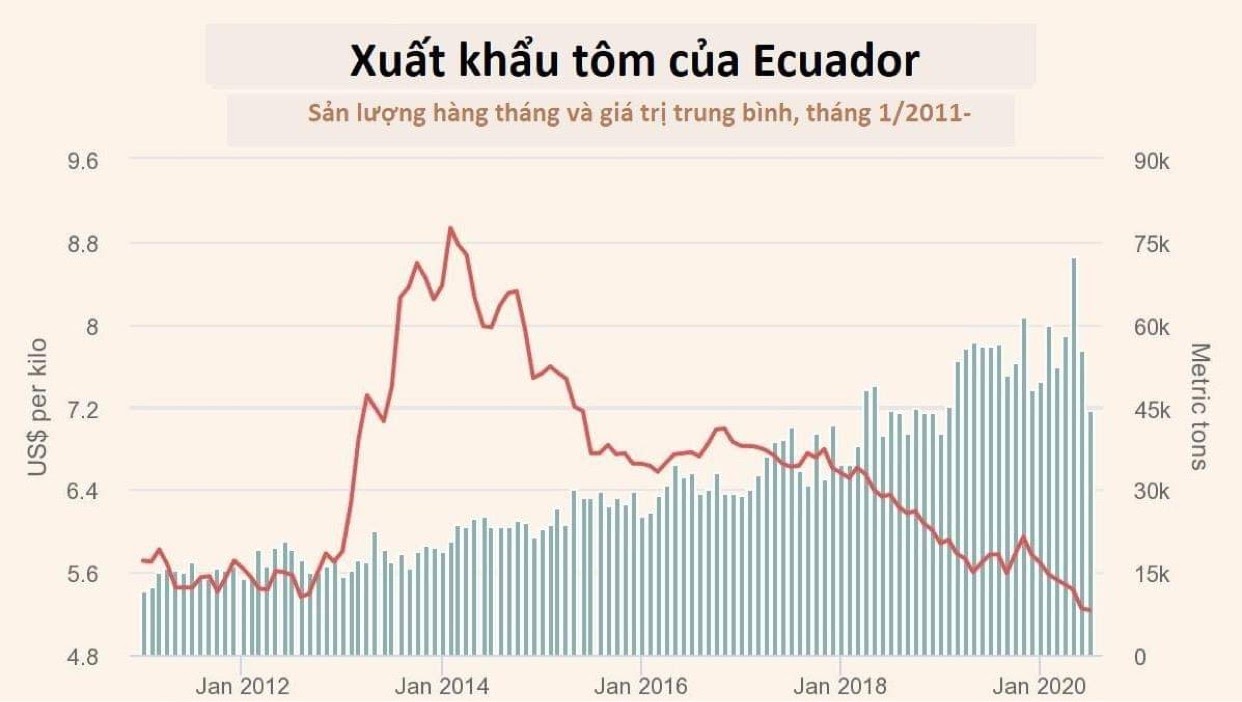 Tôm Ecuador thiệt hại 100 triệu USD tại thị trường Trung Quốc - Ảnh 1. Tôm Ecuador thiệt hại 100 triệu USD tại thị trường Trung Quốc - Ảnh 1.