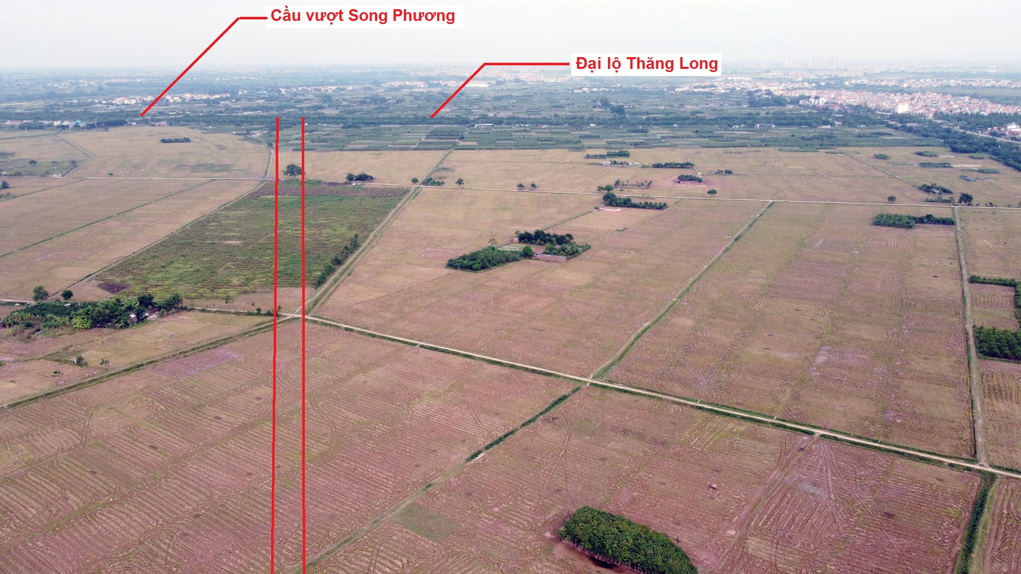 đường sẽ mở theo quy hoạch ở xã An Thượng, Hoài Đức, Hà Nội - Ảnh 4.