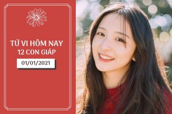 Tử vi hàng ngày hôm nay 1/1 của 12 con giáp: Tý tài lộc suôn sẻ, Sửu kinh doanh phát đạt