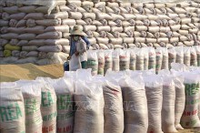Doanh nghiệp trúng thầu gạo dự trữ quốc gia mà 'lật kèo' sẽ bị trừ điểm uy tín