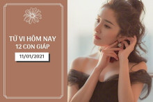 Tử vi hàng ngày hôm nay 11/1 của 12 con giáp: Thân phiền muộn chuyện tình cảm, Dậu có tin vui tài lộc